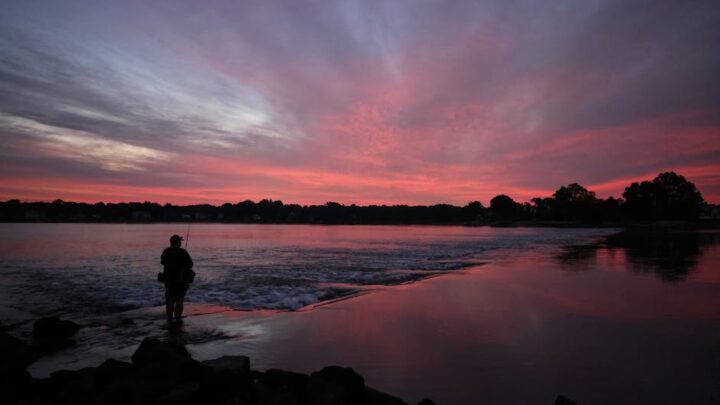 Person fishing from a grassy lake shoreline at golden hour