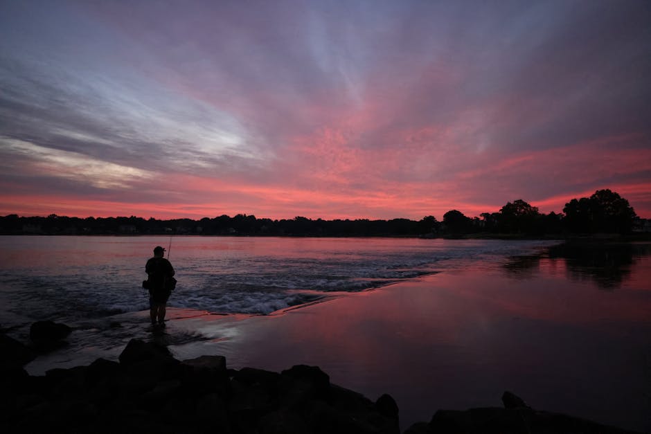Person fishing from a grassy lake shoreline at golden hour
