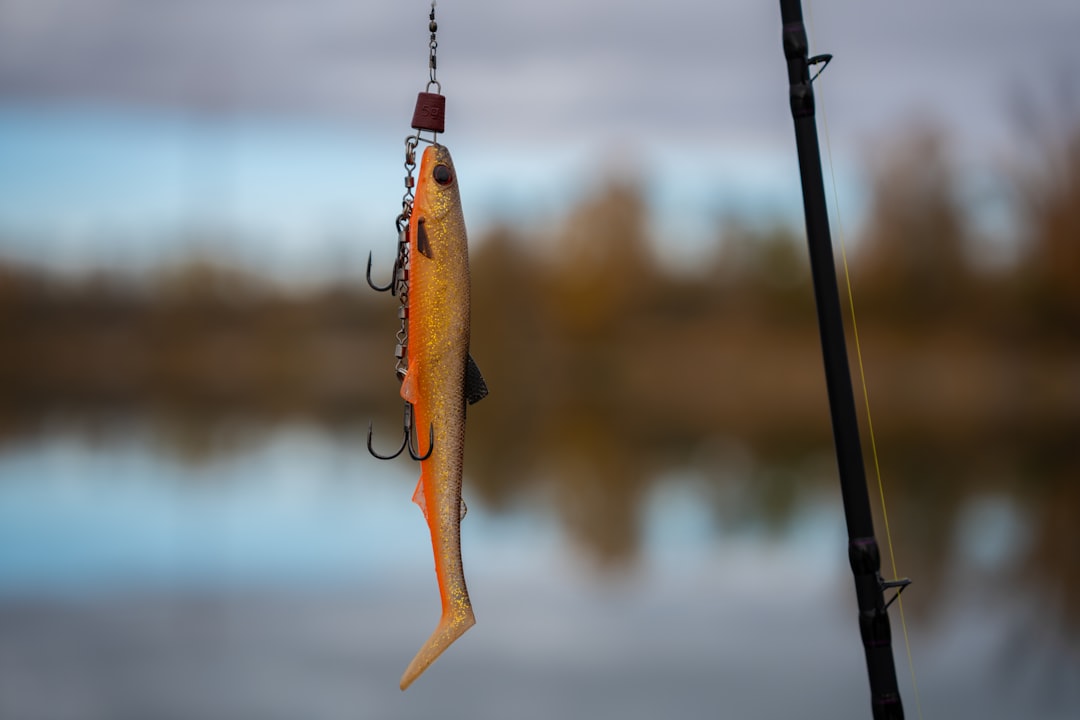 Close-up of a spinning reel mounted below a freshwater fishing rod with guides facing downward