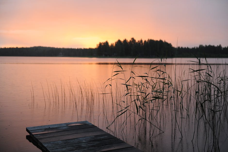 Angler fishing at dawn with the sun rising over a misty lake, ideal beginner fishing conditions