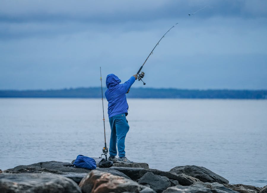 monofilament fluorocarbon vs braid pexels 37269841 02