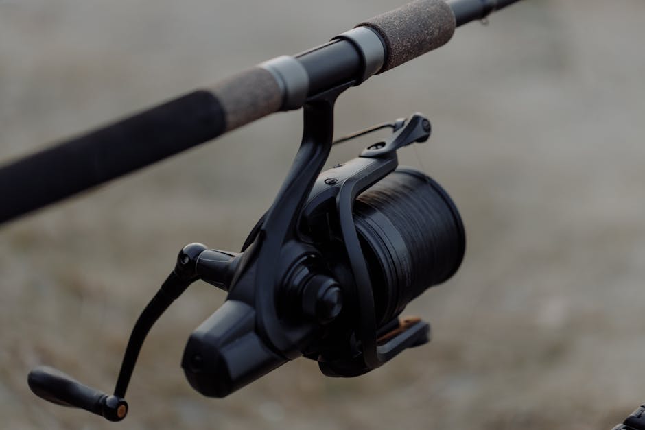 monofilament fluorocarbon vs braid pexels 5538151 08