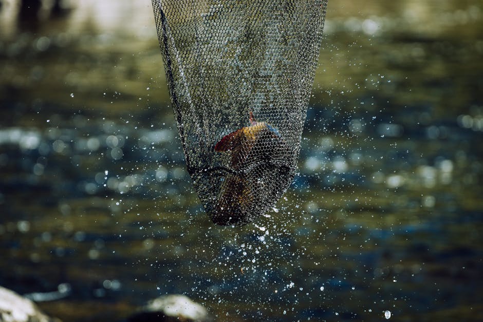 Angler using a soft-mesh landing net to land a bass at the water's edge