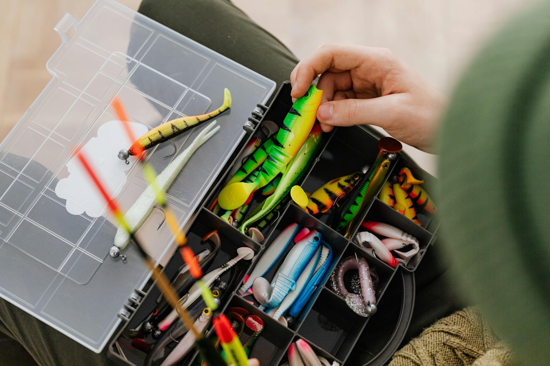 Five major types of freshwater fishing lures arranged side by side: soft plastic worm, crankbait, spinnerbait, jig, and topwater popper