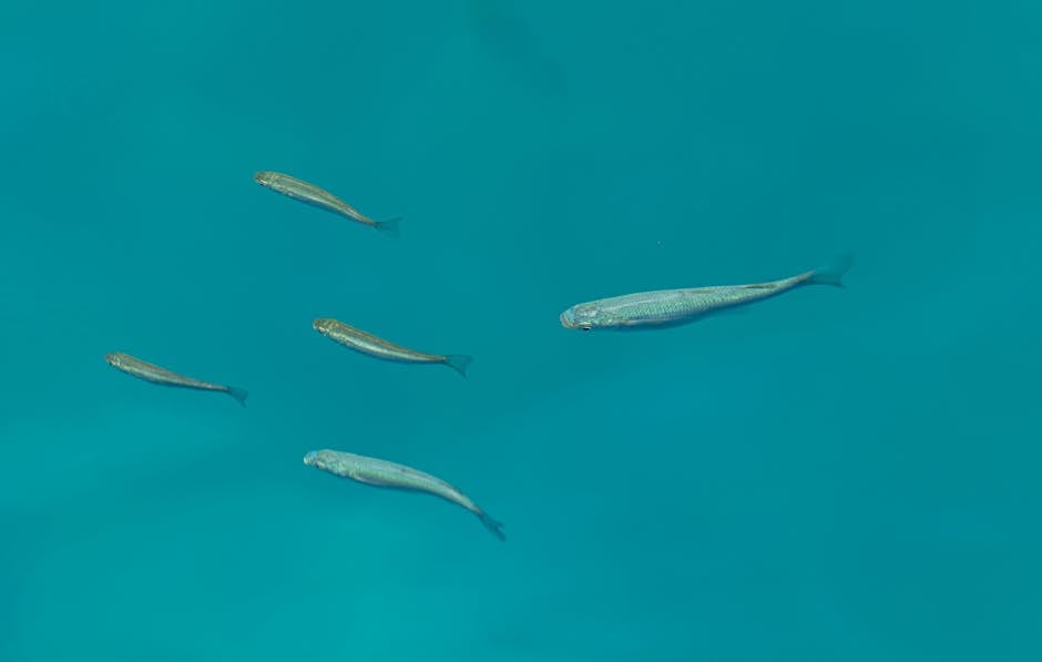 soft plastic baits for beginners pexels 17415968 06