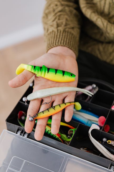 soft plastic baits for beginners pexels 6478158 04