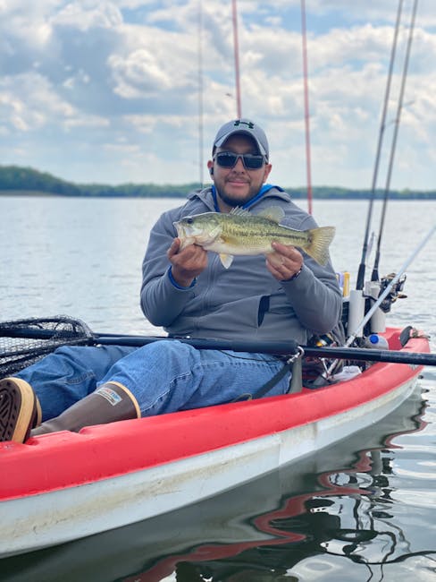 soft plastic baits for beginners pexels 7805768 05