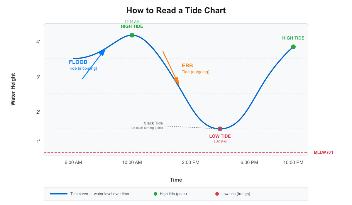Annotated tide chart diagram showing the curve with high tide peaks, low tide valley, flood tide arrow, ebb tide arrow, slack tide marker, and MLLW baseline