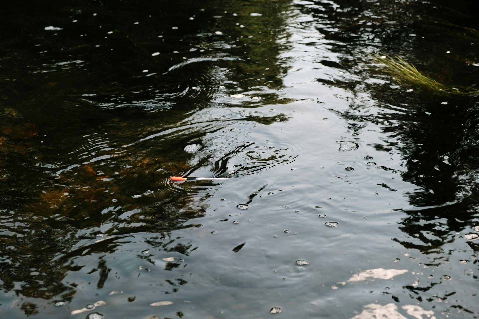 A red-and-white fishing bobber partially submerged in calm freshwater, showing a classic bite indicator with the bobber tilted and sinking.
