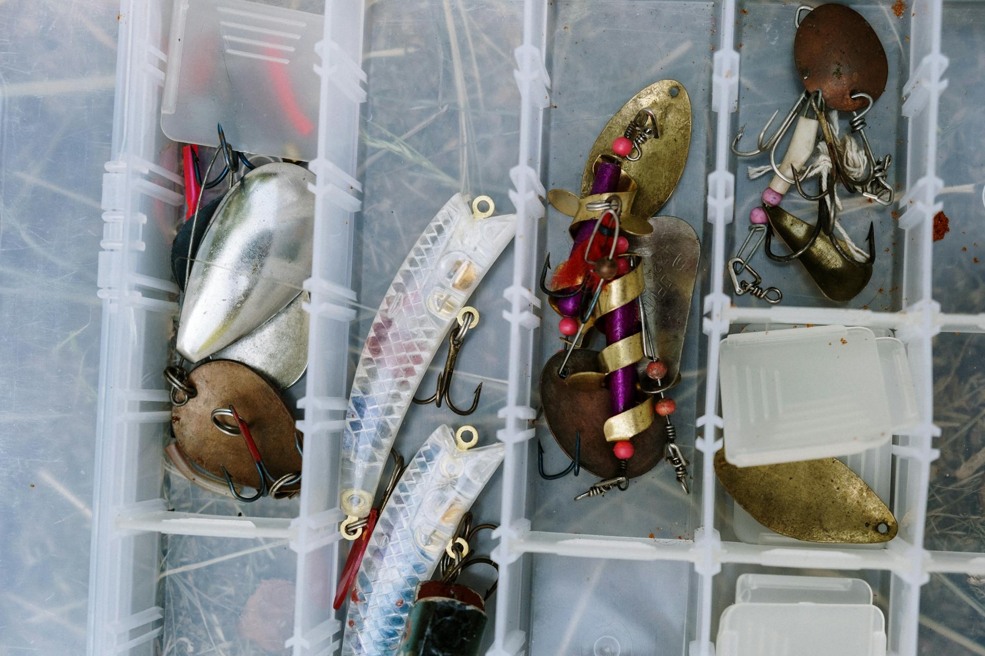 Proper live bait storage setup showing an aerated bait bucket with healthy minnows on the left and a ventilated worm box with nightcrawlers on the right.