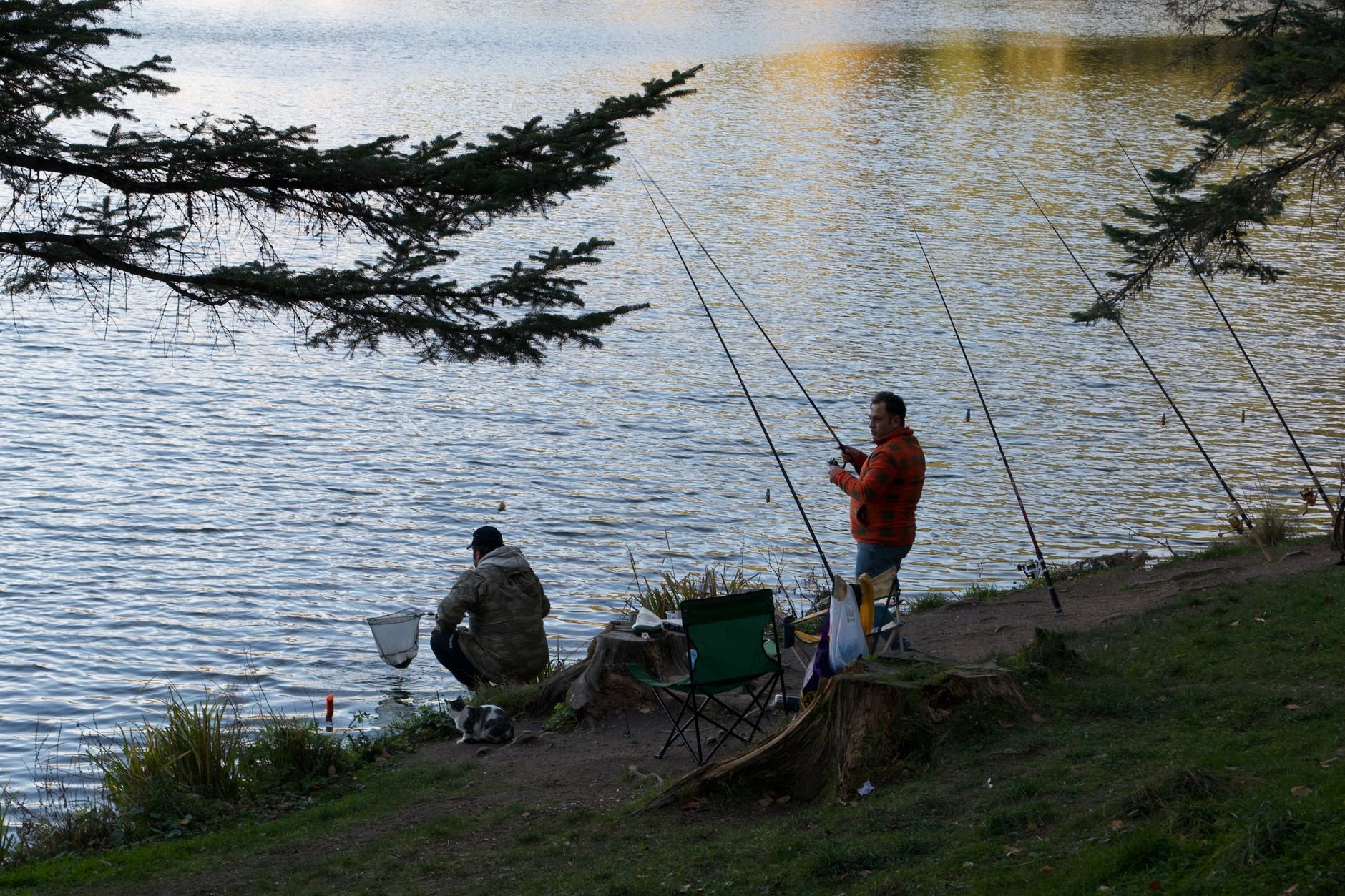 Angler fishing from a lake bank with tackle gear laid out, demonstrating seasonal freshwater fishing in a natural setting