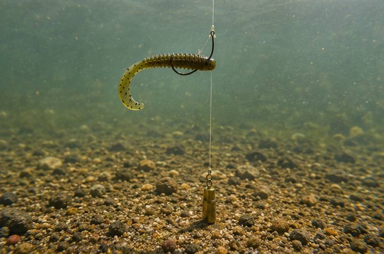 A drop shot rig — the bait hangs freely above the weight for a finesse presentation