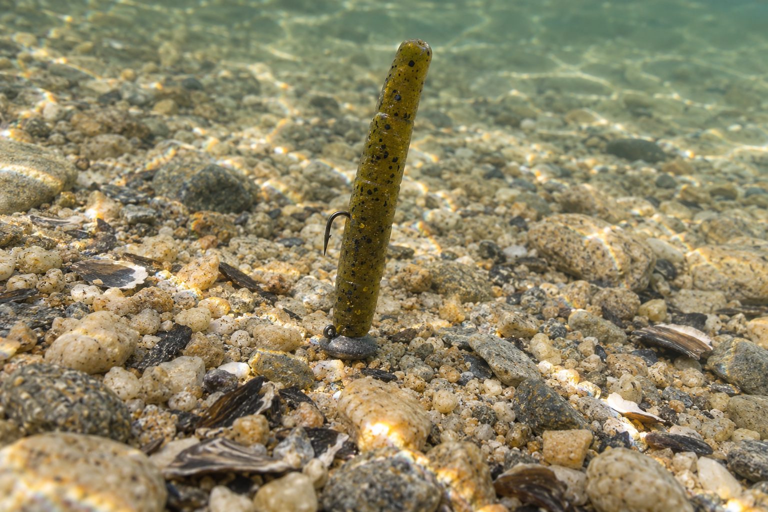 Ned rig resting on pea gravel in shallow clear water